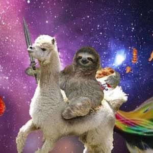 Meet your Posher, Ellie